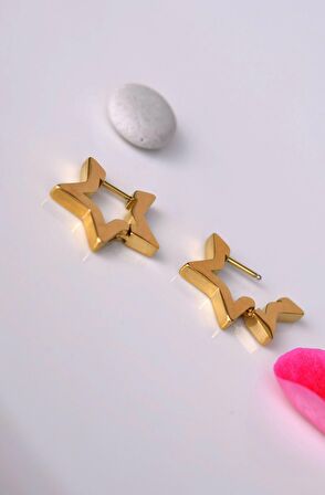 Çelik Yıldız Küpe