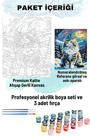 Sayılarla Boyama Seti Numaralı Tuval Fırça Boya 40x50 Cm - SAMANYOLU KEDİ