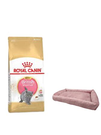 Royal Canin British Shorthair Kitten Yavru Kuru Kedi Maması  2 Kg,Mini Small Pembe Yatak