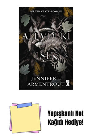 Alevdeki Işık - Sc + Yapışkanlı Not Kağıdı