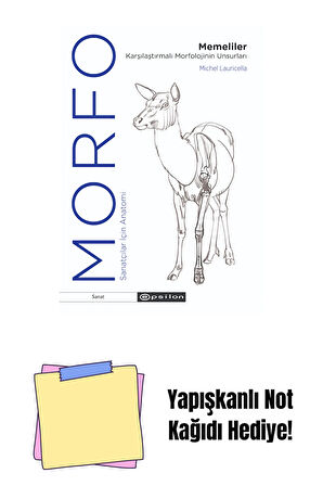 Morfo - Memeliler Karşılaştırmalı Morfolojinin Un + Yapışkanlı Not Kağıdı