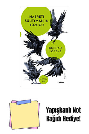 Hazreti Süleyman'ın Yüzüğü + Yapışkanlı Not Kağıdı