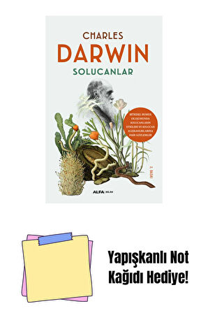 Solucanlar + Yapışkanlı Not Kağıdı