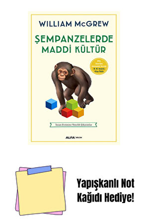 Şempanzelerde Maddi Kültür + Yapışkanlı Not Kağıdı