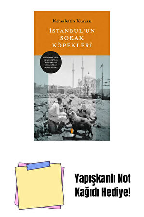 İstanbul’un Sokak Köpekleri + Yapışkanlı Not Kağıdı
