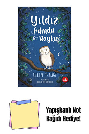 Yıldız Adında Bir Baykuş + Yapışkanlı Not Kağıdı