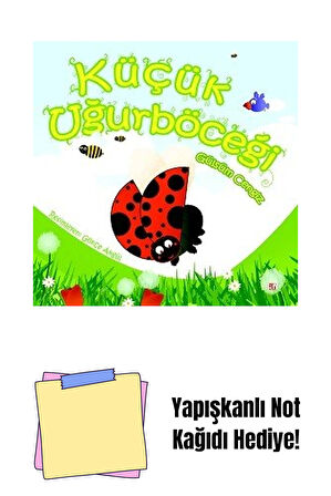 Küçük Uğurböceği + Yapışkanlı Not Kağıdı