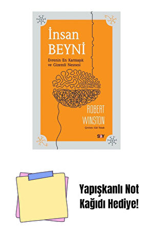 İnsan Beyni + Yapışkanlı Not Kağıdı