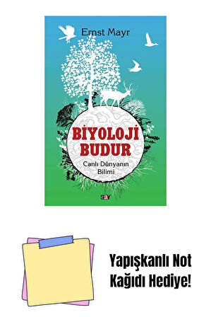 Biyoloji Budur + Yapışkanlı Not Kağıdı