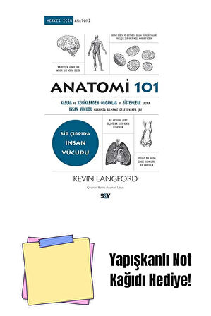 Anatomi 101 + Yapışkanlı Not Kağıdı