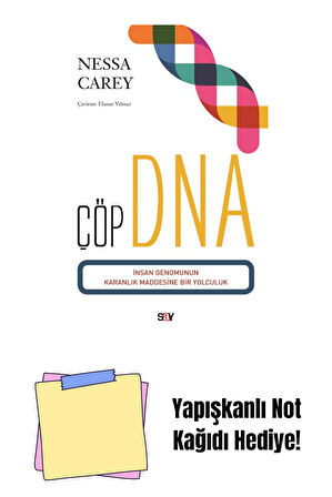 Çöp DNA + Yapışkanlı Not Kağıdı