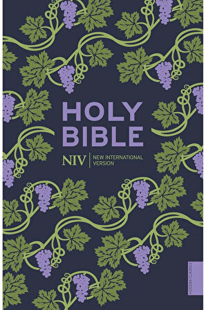 NIV Holy Bible (Hodder Classics) + Yapışkanlı Not Kağıdı