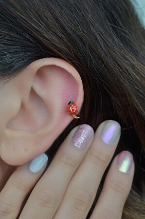 Uğur Böceği Halka Piercing Helix Kıkırdak