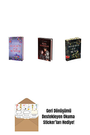 T. Y. Mazer 3 Kitap Set + Okuma Sticker'ları