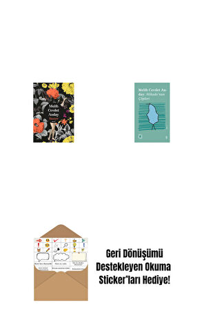 Raziye (Ciltli) + Everest Açıkhava 3 - Mikado’nun Çöpleri + Okuma Sticker'ları