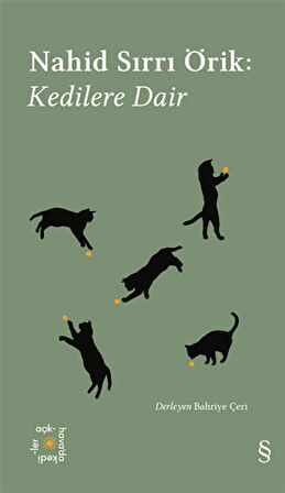 Teselli yahut Turnede  Bir Artist Öldürüldü + Everest Açıkhava 29 - Kedilere Dair + İstanbul Yazıları + Okuma Sticker'ları