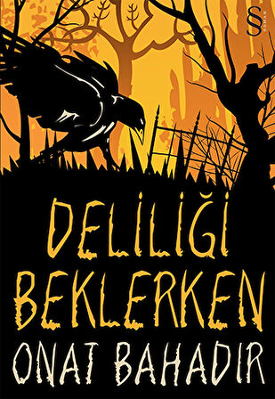 Deliliği Beklerken + Boşluğa Gülümsemek + Okuma Sticker'ları