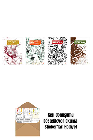 Seyhan Erözçelik 4 Kitap Set + Okuma Sticker'ları