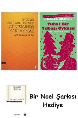 En Zoru, Bay Saul Leitner, Günışığında Saklanmak + Tuhaf Bir Yılbaşı Öyküsü + Bir Noel Şarkısı