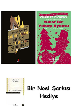Sohrab Sepehri Bütün Şiirleri + Tuhaf Bir Yılbaşı Öyküsü + Bir Noel Şarkısı