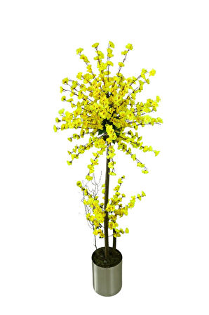 Atom Sarı Bahar Dalı 180 Cm 25x25 Metal Saksı