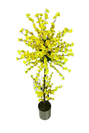 Atom Sarı Bahar Dalı 180 Cm 25x25 Metal Saksı