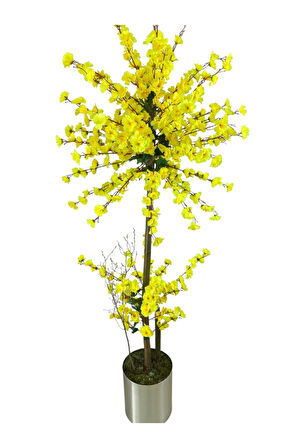 Atom Sarı Bahar Dalı 180 Cm 25x25 Metal Saksı