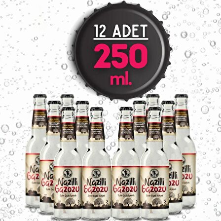 Yöresel Nazilli Gazozu 250 Ml. - Efsane Yerel Gazoz (12 Adet X 250 Ml.-Cam Şişe)