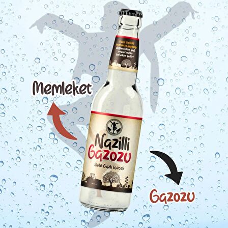 Yöresel Nazilli Gazozu 250 Ml. - Efsane Yerel Gazoz (6 Adet X 250 Ml.-Cam Şişe)