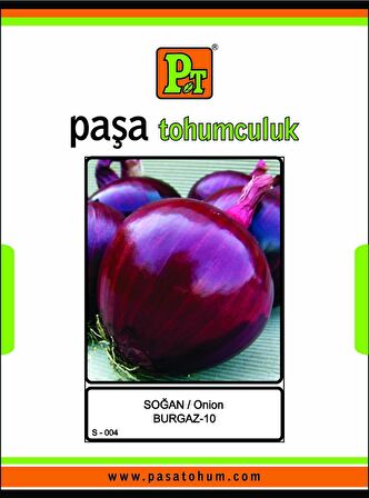 Burgaz-010 Soğan Tohumu 100 GR.