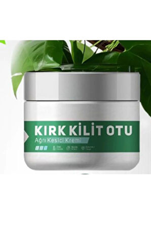 Kırkkilitotu Vücut Adale Sızıları için Masaj Bakım Kremi 100 ml x 1 adet