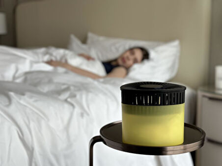 Sarı, Limon Kokulu Üçgen Nem Alıcı Aparat - Koku ve Rutubet Giderici 500Gr