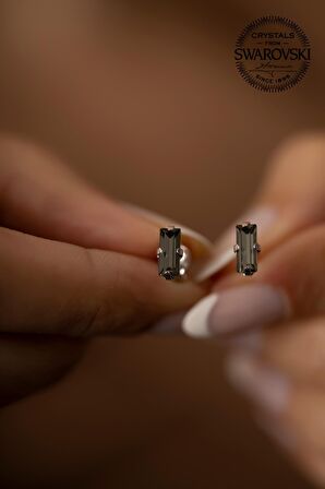 Swarovski Taşlı Çubuk Model Gümüş Crystal Küpe