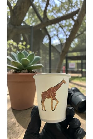 Hayvan-Orman-Amazon-Zoo Doğumgünü Parti Zürafa temalı Tek kullanımlık 7 Oz 100 Adet Karton Bardak