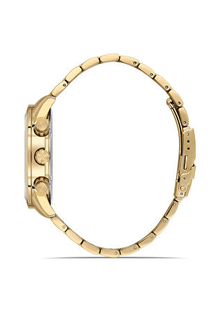 Momentus Gold Çelik Kordon Erkek Kol Saati SC380G-08SG