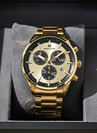 Momentus Gold Çelik Kordon Erkek Kol Saati SC380G-08SG