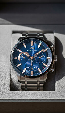Momentus Gümüş Çelik Kordon Erkek Kol Saati SC381T-11SR