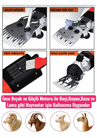 Pro Seri Metal Şanzuman Profesyonel Koyun Keçi Kırpma-Kırkma Makinası 6 Kademe Devir Ayarlı