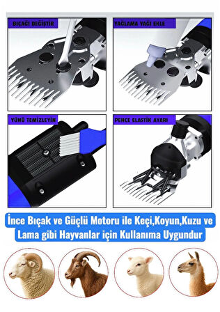 Pro Seri Metal Şanzuman Profesyonel Koyun Keçi Kırpma-Kırkma Makinası 6 Kademe Devir Ayarlı