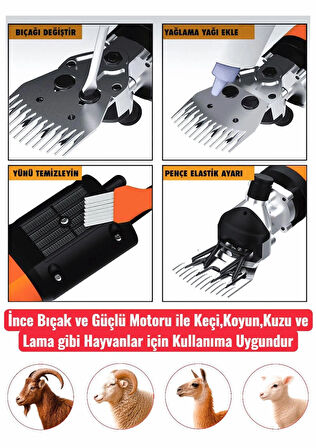 Pro Seri Metal Şanzuman Profesyonel Koyun Keçi Kırpma-Kırkma Makinası 6 Kademe Devir Ayarlı