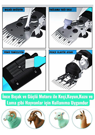 Pro Seri Metal Şanzuman Profesyonel Koyun Keçi Kırpma-Kırkma Makinası 6 Kademe Devir Ayarlı