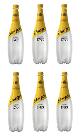 Schweppes Tonik 1 Lt X 6 Adet