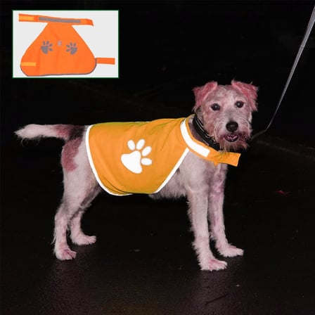 B Gece Görüşlü Reflektör Kumaşlı Cırt Cırtlı Köpek Yeleği Medium