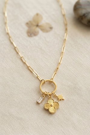 Mey İthalat Gold Renk Ataç Zincir Yonca Model Kadın Kolye