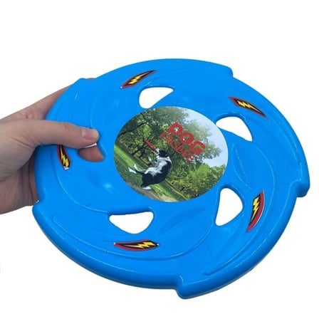 B Hem  Eğitici Ve Hem Eğlenceli Yuvarlak Hafif Ağırlıklı Köpek Frizbi Oyuncağı