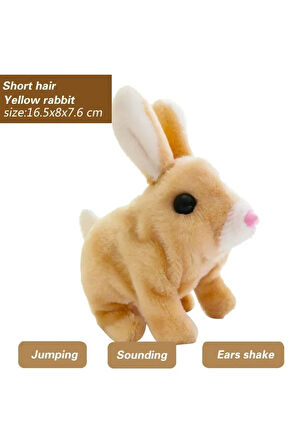 Plush Pet Pilli Tavşan  Cm Oyuncak
