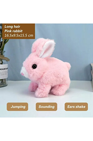Plush Pet Pilli Tavşan  Cm Oyuncak
