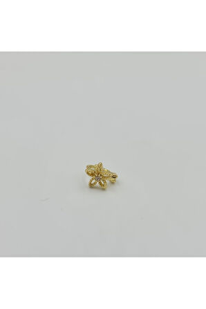 Cerrahi Çelik  Gold Papatya Halka Küpe Tragus Helix Kıkırdak Piercing
