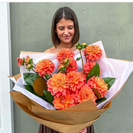 Aynı Sene Çiçek Açar Dev İri Çiçekli Au. Sunhorst  Dahlia Yumrusu (1 adet)