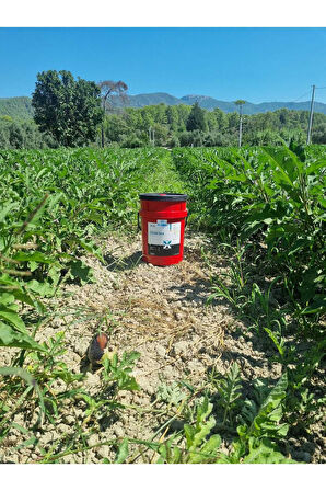 Ucon Sea Sıvı Deniz Yosunu Gübre